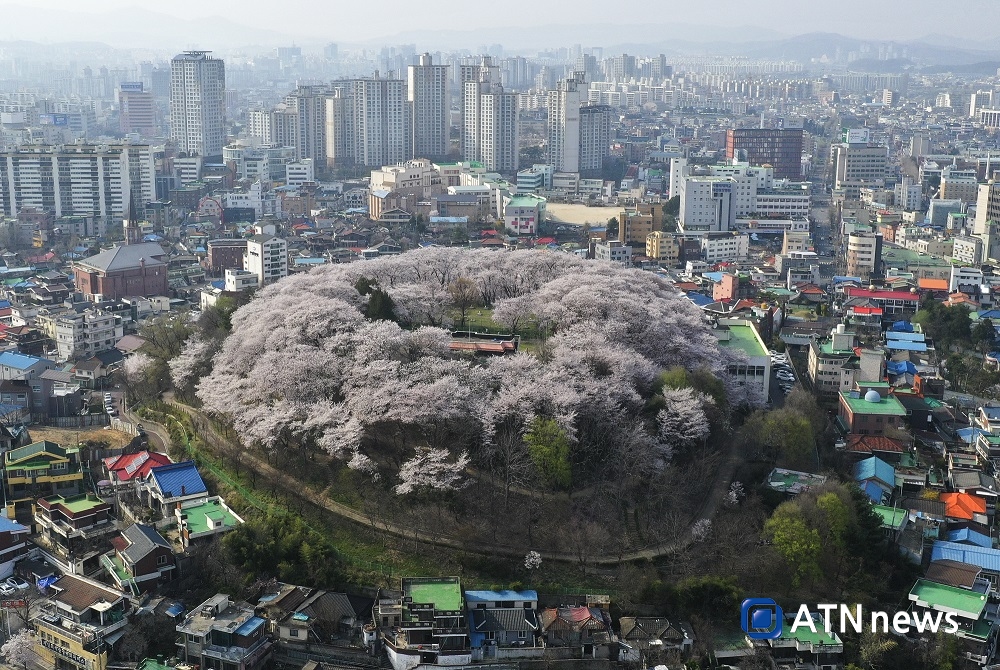 대전시, '2020 대전관광사진 전국공모전' 입상작 시상
