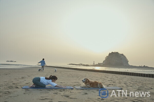 꽃지해수욕장에서 반려인이 도가(Dog+Yoga)를 즐기는 모습.(사진=태안군청)