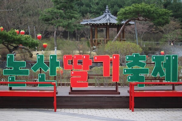 충남 논산시, 4일간 2025 논산딸기축제 돌입...